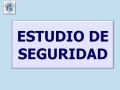 Estudio Seguridad 2015 2